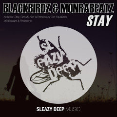 Monrabeatz, Black Birdz, 2StreetBack - Got My Kiss (Original Mix) OUT NOW [Sleazy Deep]