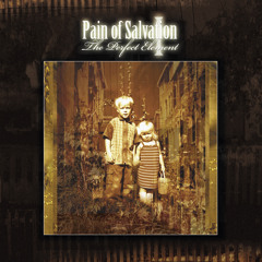 PAIN OF SALVATION - Ashes