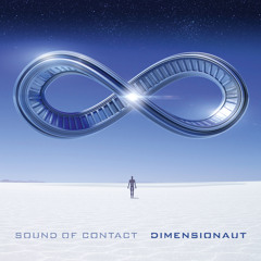 SOUND OF CONTACT - Not Coming Down