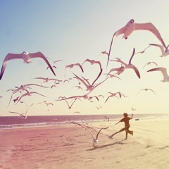 علِي أبُو الحَسَن .. و تجلّي مَعانِي الرّافعِي