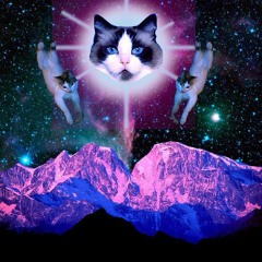 Trance Cat Meow Mix.  IDM EDM DJM M&M Free DL