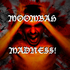 Moombah Madness!