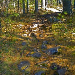 Absolute Astute - A. Bougie Live @ Heads In Harmony 1 2011