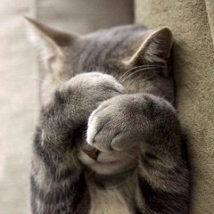 aisa laga mujhe pehli dafa