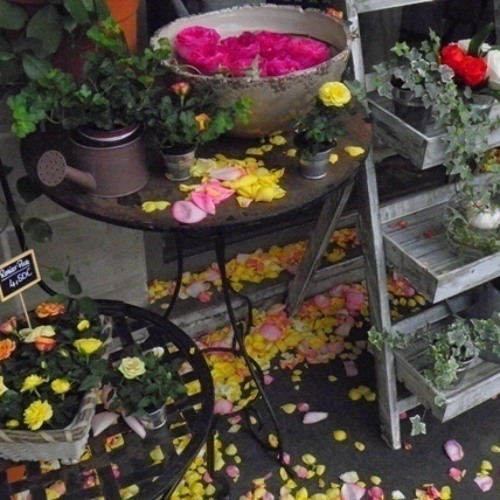 Stream 遅咲きの薔薇第２番 By Naoto O H Masa Listen Online For Free On Soundcloud