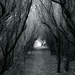 01 - Chris Freebody - Hope