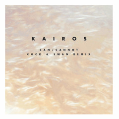 Can / Cannot (Cock & Swan Remix)