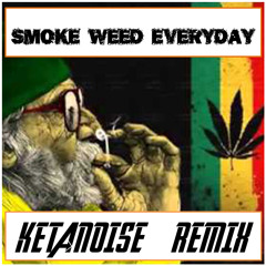 Dr.Dre & Snoop Dogg - Smoke Weed Everyday (Ketanoise Remix)