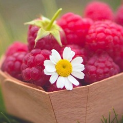 နူးညံ့တဲ့အမိန္႕ေတာ္....