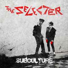 Breakdown - The Selecter