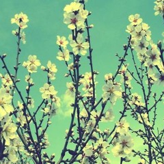 LittleBig Spring Playlist