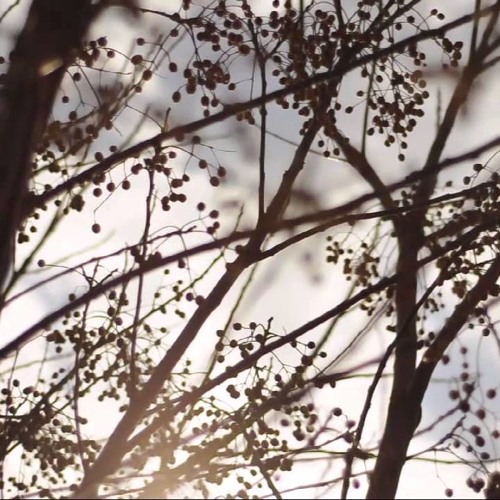 Sleeping at last - Atlantic