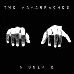 THE TWO MAMARRACHOS - TEACH ME (RODION REMIX)