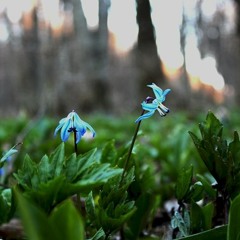 †ě∆ – BU††ERFLY