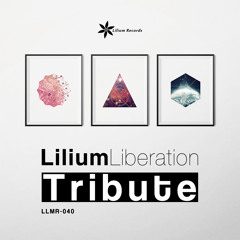 Sorrow of Garden (2015 Mix)[LLMR-040][F/C Lilium Records]