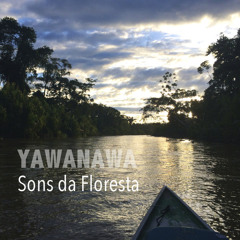 Kãnaro - Tribo Yawanawá - Acre
