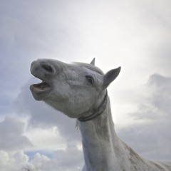 Smile (Perry/Murphy)