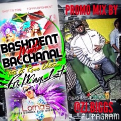 Baccahanal VS Bashment May 1st Promo Mix