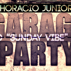 Horacio Junior - Party (DJD "Sunday Vibe" Mix) [Sample]