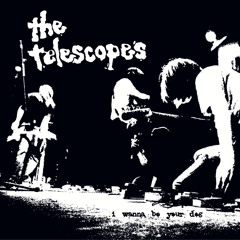 The Telescopes - I Wanna Be Your Dog