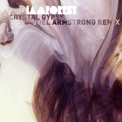 iamforest - Crystal Gypsy (Joel Armstrong Remix)