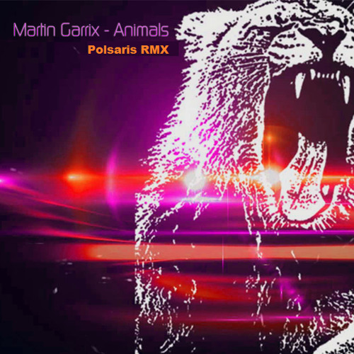 Stream Martin Garrix - Animals (Polsaris RMX für Stefanie) by Polsaris |  Listen online for free on SoundCloud