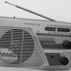 Noah Sow RADIO META: Radio - Monokultur - Teaser