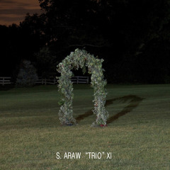 "Trellis" from GAZEBO EFFECT (2015) by S. Araw "Trio" XI