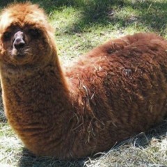 L'atelier - Le Hip Hop C'est Mon Pote