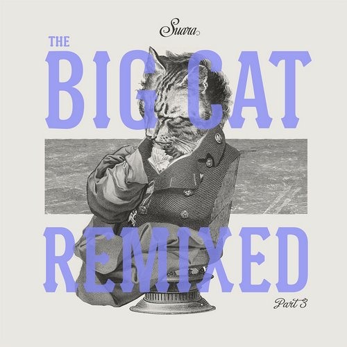 Coyu & Ramiro Lopez - Y.E.A.H. (Mark Knight Remix)