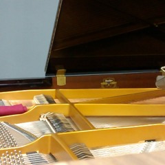 Ponta De Areia - Piano Pizzicato