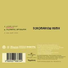 Broederliefde - Allemaal Hetzelfde (djromari0w remix)