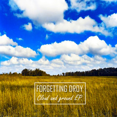 FORGETTING DROY - Black rain