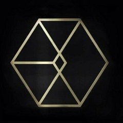 엑소 콜미베이비 EXO Call Me Baby 叫我 Cover By Riiko