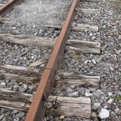 Sociologie Du Textile