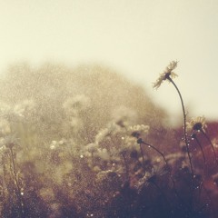 Kim Jonghyun - Skeleton Flowers (신하엽)