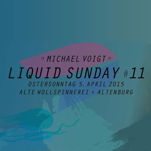 Michael Voigt - Live @ Liquid Sunday 2015