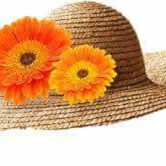Chill Summer Vibes (HOUSE)