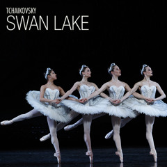 Tchaikovsky - The Swan Lake, Op.20 - Act II, No.13 Dances of the Little Swans: 4. Allegro moderato