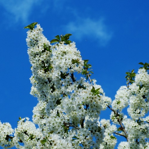 Mach deinen Kopf frei