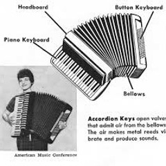 "Wonderful Grace Of Jesus"   Accordion Solo By Brother John D. Occhipinti, K3UR
