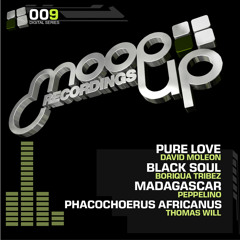 David Moleon - Pure Love