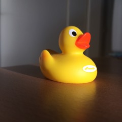 Like A Duck (in Water)