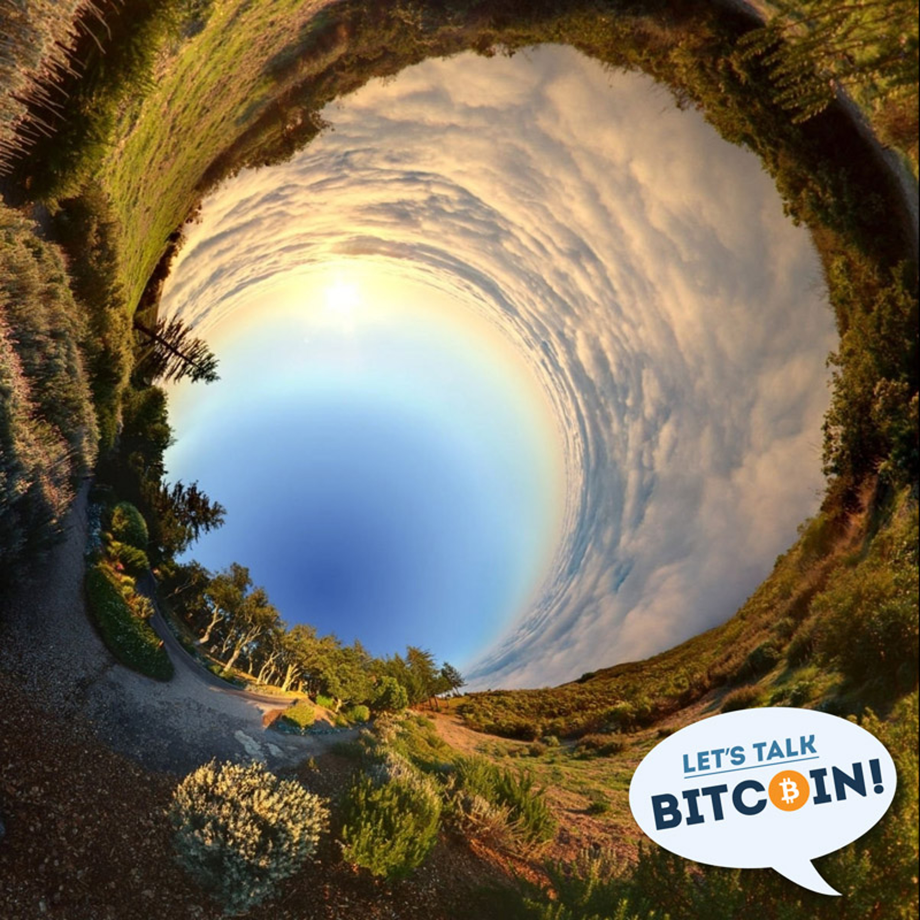 LTB E203 - Digging In