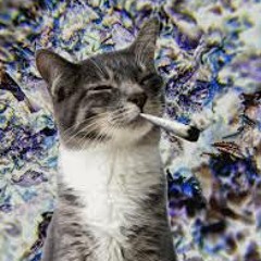 Sayon//Smoker// ♫Fvck-Rave♫ ►CatSmoker◄