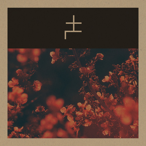 DIM THE LIGHTS VIII (Live Recording)