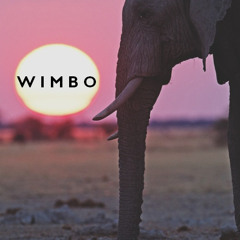 LeonardoG - Wimbo (Original Mix) *FREE DL*