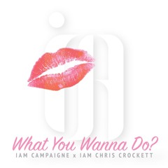 What You Wanna Do? - IAM Campaigne X IAM Chris Crockett
