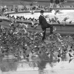 The Life and Times of The Real Charlie Cheese (wk 65/104)