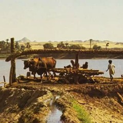 ابداعات الفنان / فكرى الكاشف ــ ساليه ساليه كوغا ــ تحيات / برونتـــو